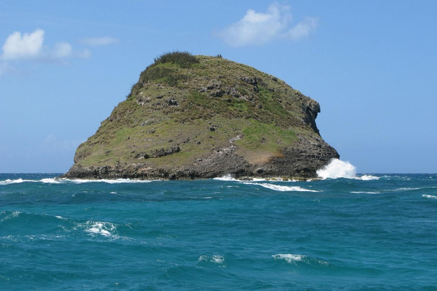 Location de gîtes en Guadeloupe